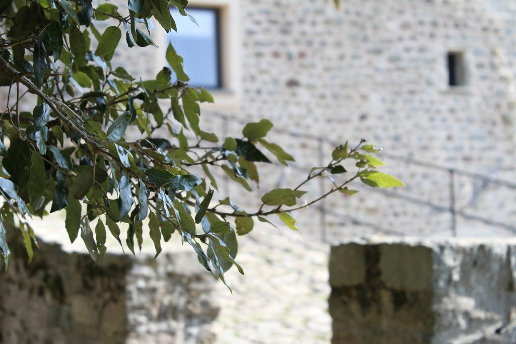 Al Castello Da Annamaria Casa de hóspedes Beverino Exterior foto